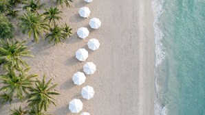 An aerial view of a beach with white umbrellas and palm trees.
