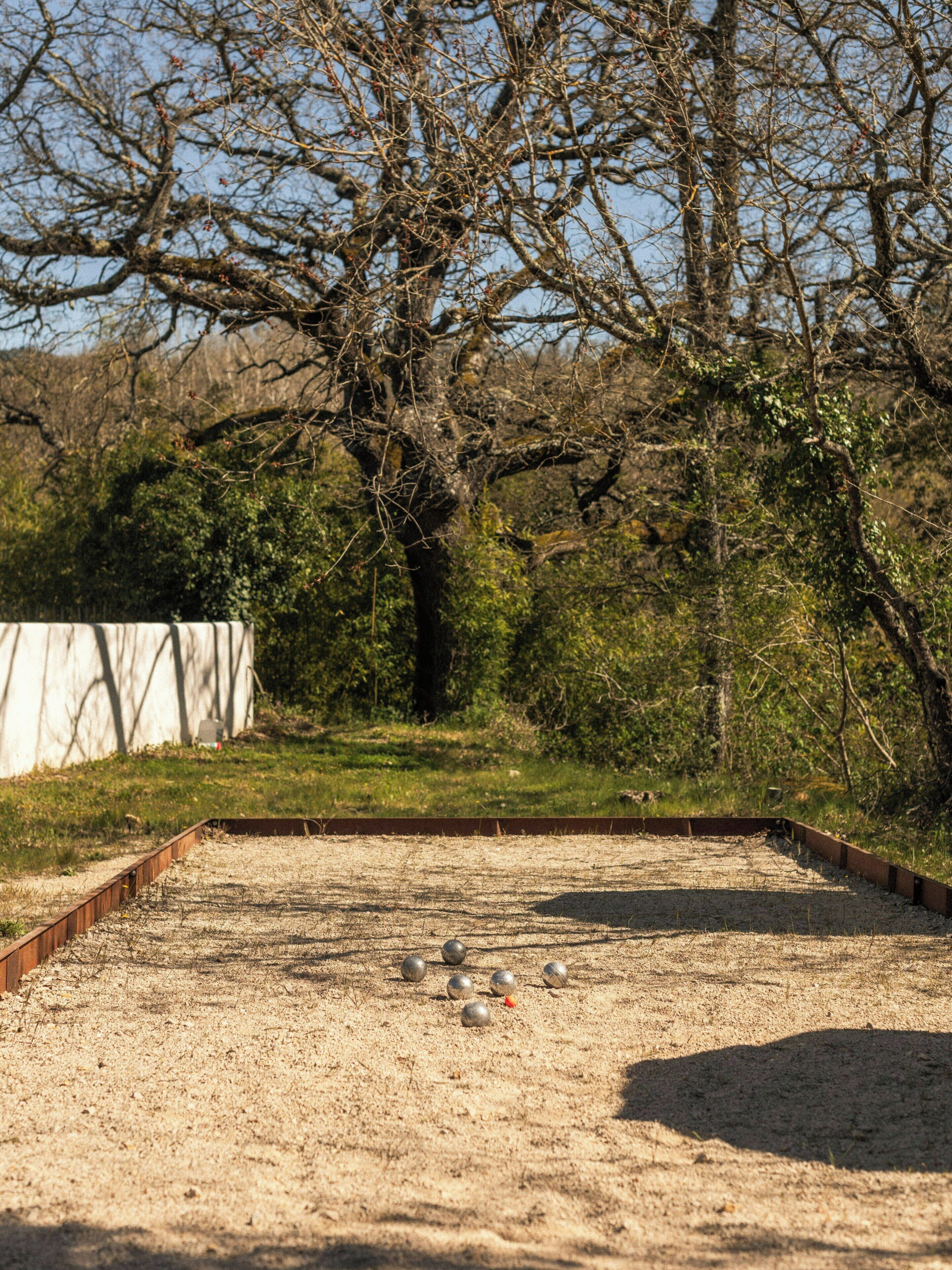 Un terrain de croquet délimité par une bordure métallique, un grand arbre en arrière-plan et une zone herbeuse.