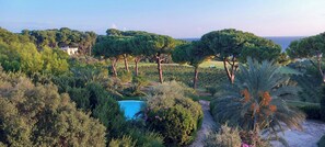 Property grounds - Seaside villa with pool in Taranto (Taranto)