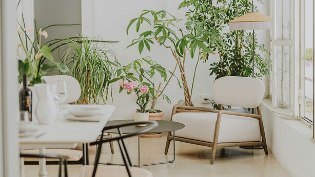 Een kamer met een eettafel, stoelen, een potplant, een bank en een raam.