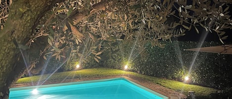 A swimming pool surrounded by stone pathways and greenery, with ambient lighting.