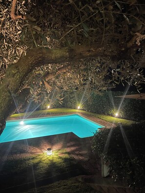 A swimming pool surrounded by stone pathways and greenery, with ambient lighting.