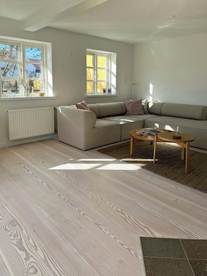 Ein modernes Wohnzimmer mit einer Couch, einem Couchtisch und einer Heizung.