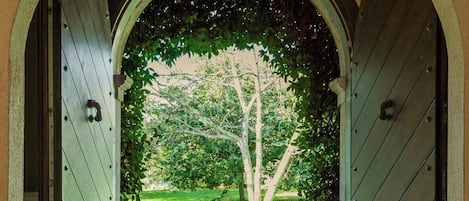 Exterior detail