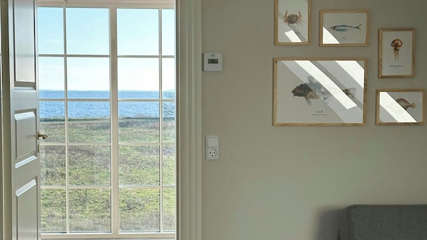 Ein Zimmer mit grauem Sofa, einem großen Fenster mit Meerblick und gerahmten Fischdarstellungen an der Wand.