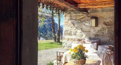 Savoyard farmhouse with views