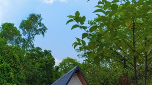 Garden - The Arks Baagh Villas (Ramnagar)