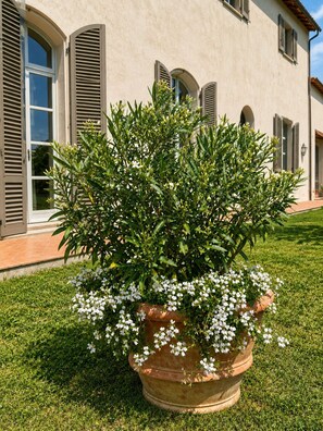 Exterior detail - Exclusive Dependence with private pool and view of Tuscan archipelago (Riotorto)