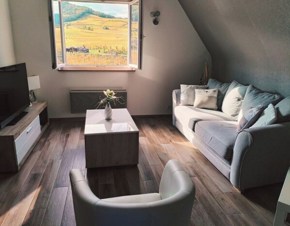 Living area - Vrbo Property (Ammerschwihr)