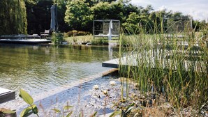 Un espace extérieur paisible avec un étang, une terrasse en bois et une sculpture en métal.