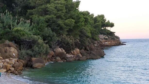 A coastal landscape with a pebbly beach, rocky outcrops, and dense green vegetation. - MARINA BLU ROOMS (Castellammare del Golfo)