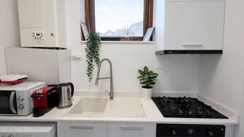 Une cuisine compacte avec un plan de travail blanc, un évier en acier inoxydable, une cuisinière à gaz, un four à micro-ondes et une petite plante en pot.