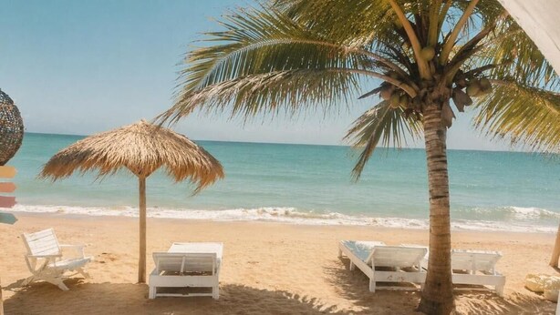 A beach with white lounge chairs, a thatched umbrella, and a palm tree.