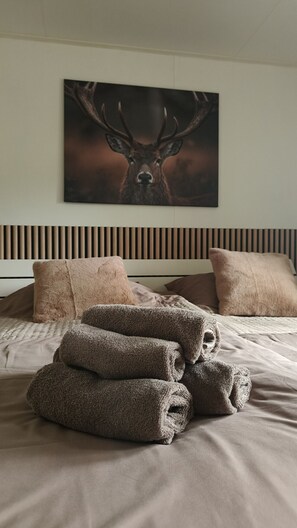 Wifi y ropa de cama 