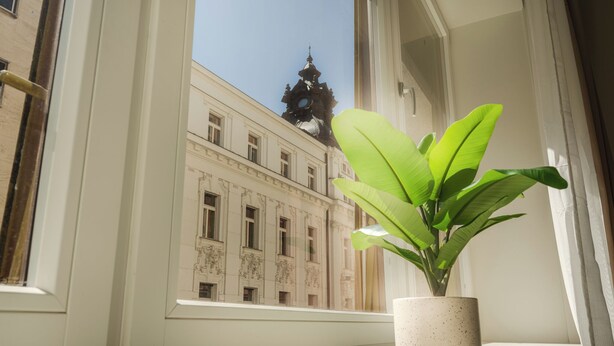 A window with a potted plant, a view of a building with classical architecture, and a clear sky. - LOCA by Ambiente Apartments (Bratislava)