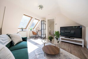 Fernseher, Arbeitsbereiche