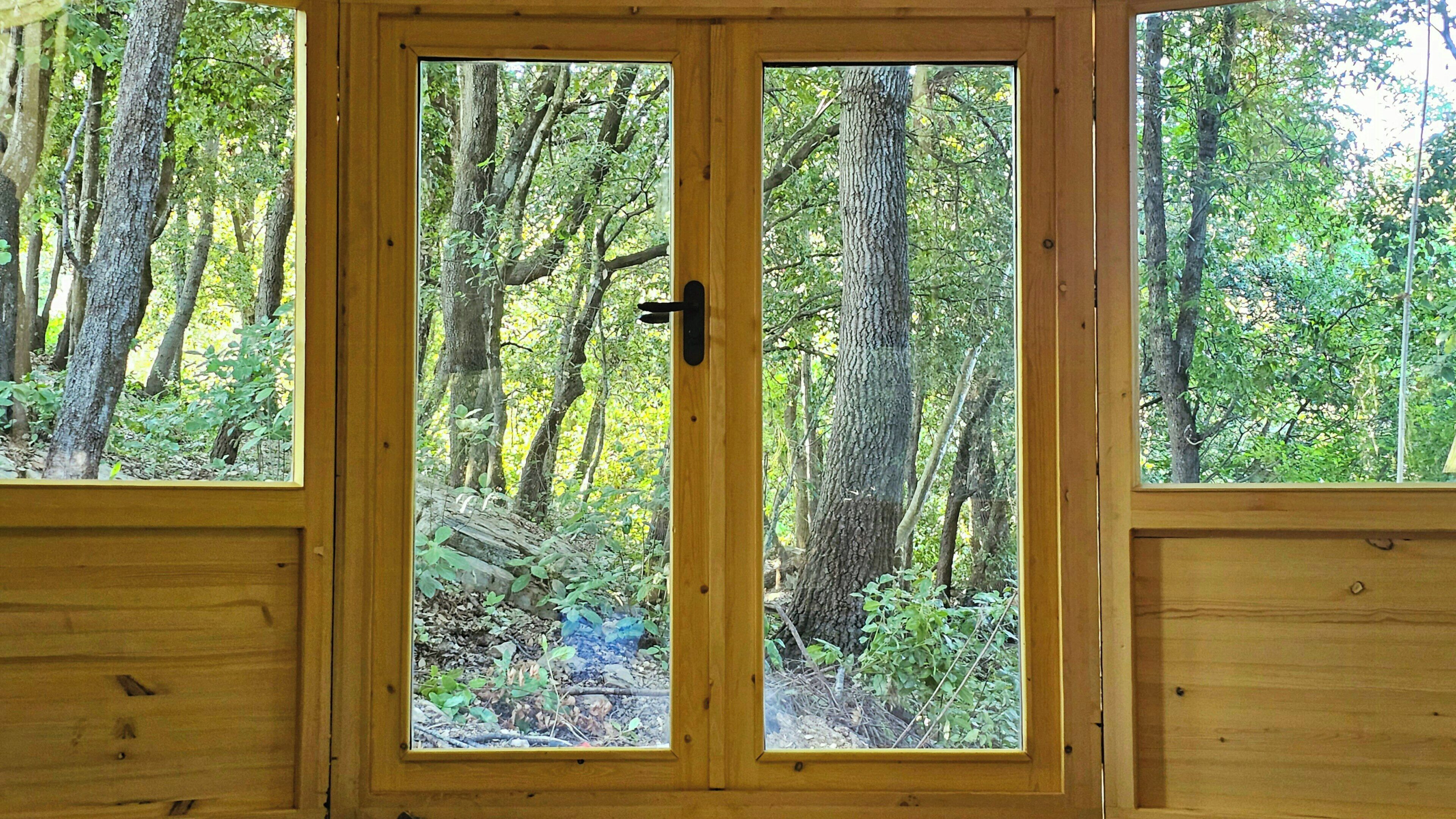 A wooden door with two glass panels, each offering a view of a forested area.