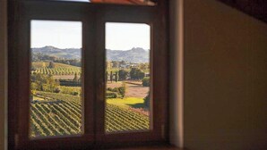 A window with a view of a vineyard landscape.