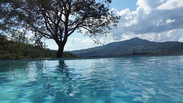Una piscina bordeada de árboles, con agua cristalina y una montaña al fondo.