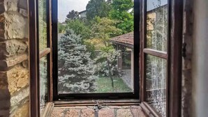 Una ventana con vista a un jardín y un edificio.