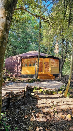Eine rustikale Holzhütte mit verdeckter Veranda und einem Kiesweg zum Eingang.