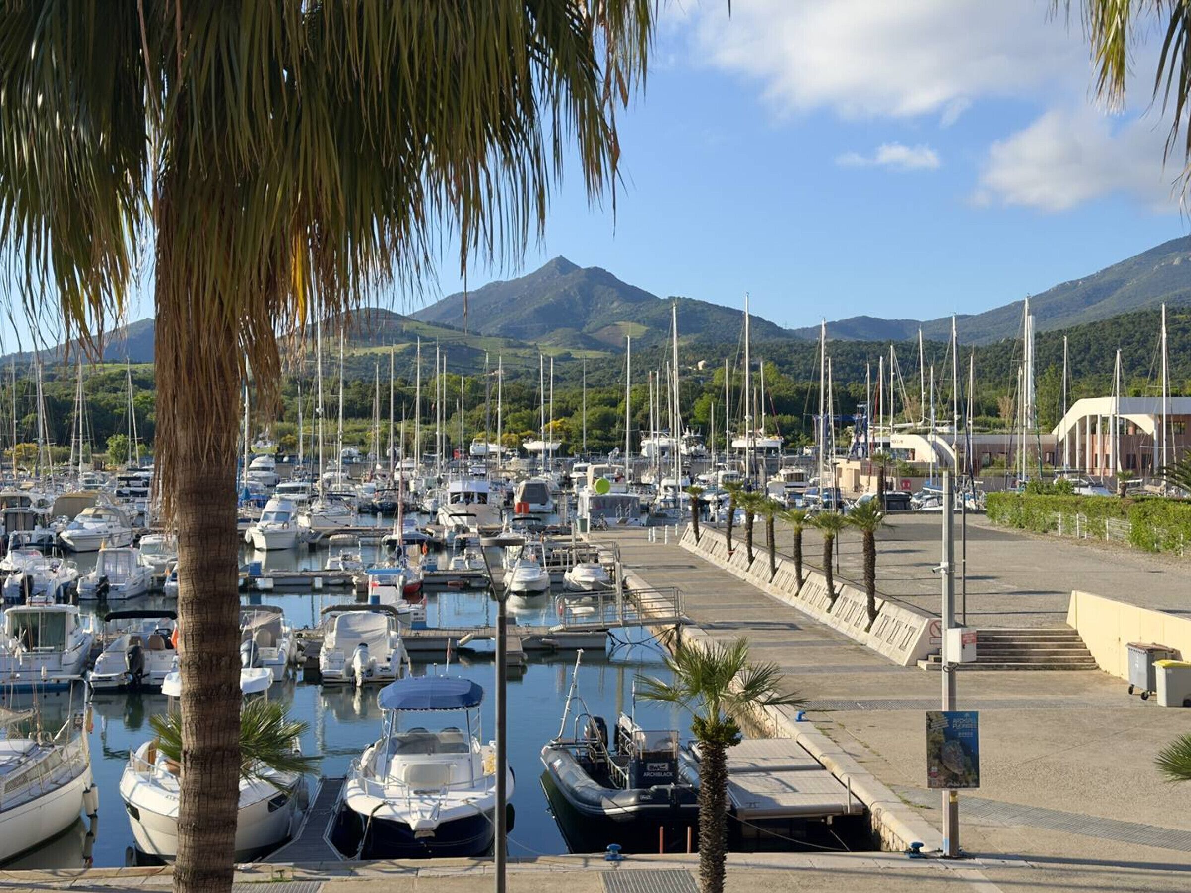 A marina with numerous boats docked, a clear sky, and mountains in the background.