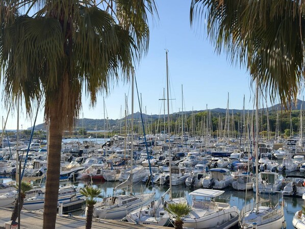 Ein Hafen voller verschiedener Boote, umgeben von Palmen und Hügeln im Hintergrund.