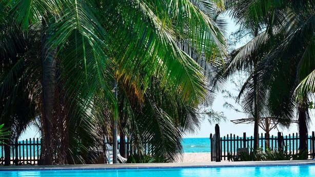 Piscina cercada por palmeiras e vista para a praia.
