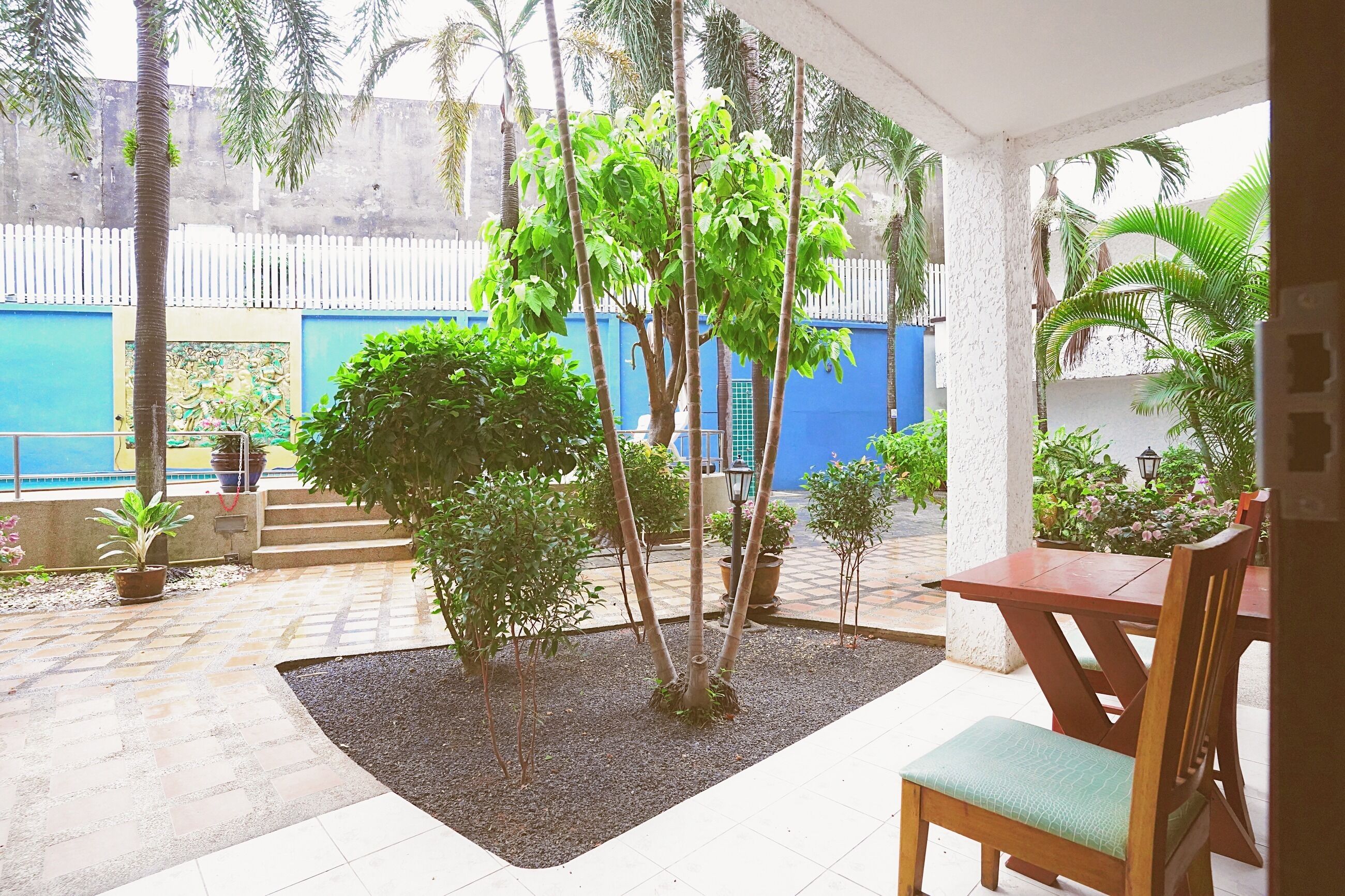 A covered outdoor area with a seating arrangement, surrounded by various plants and trees.