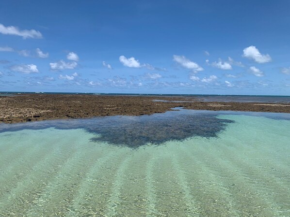 A coastal landscape with clear shallow waters, rocky terrain, and a distant horizon. - Piratas do Caribe - Casa das Conchas (Tamandaré)