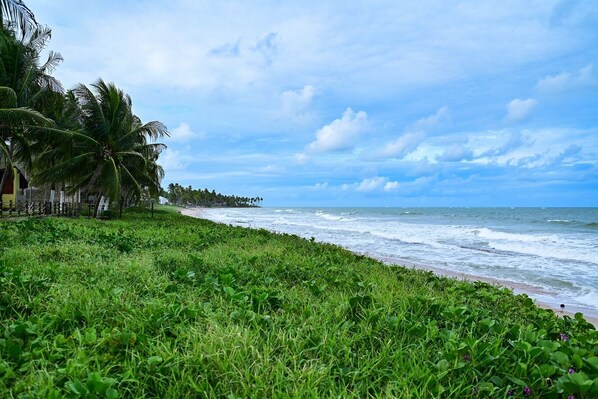 Beach - Piratas do Caribe - Casa das Conchas (Tamandaré)