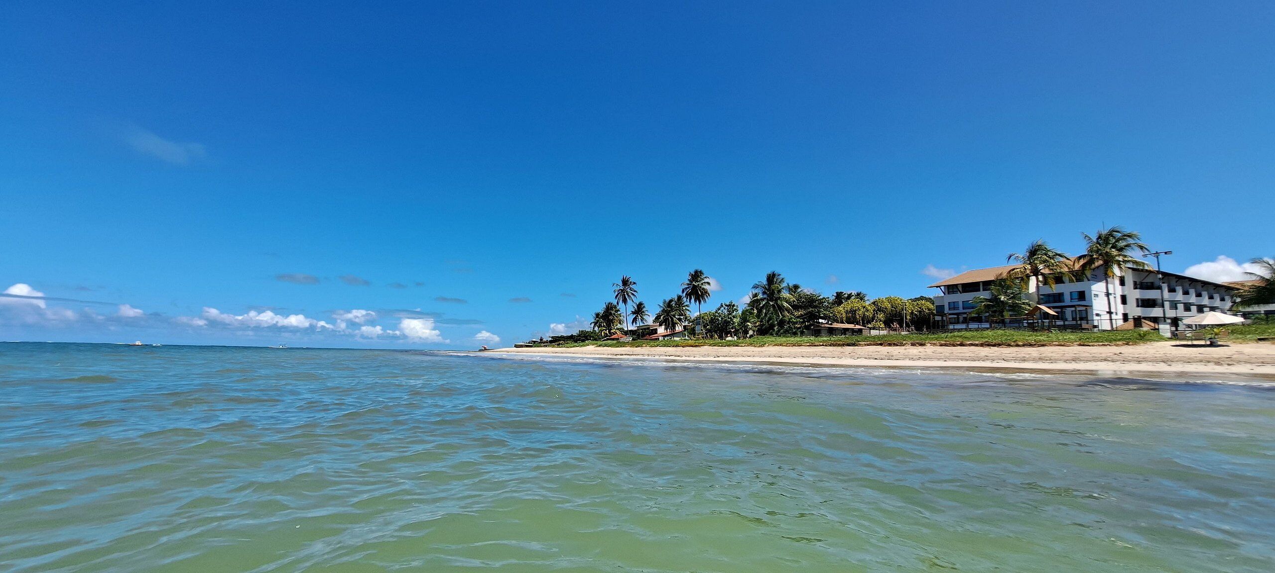 A beachfront hotel with a sandy beach, palm trees, and ocean view.