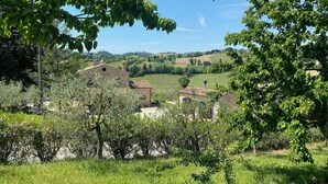 Ländliche Landschaft mit traditioneller Bebauung, üppigem Grün und sanften Hügeln im Hintergrund.