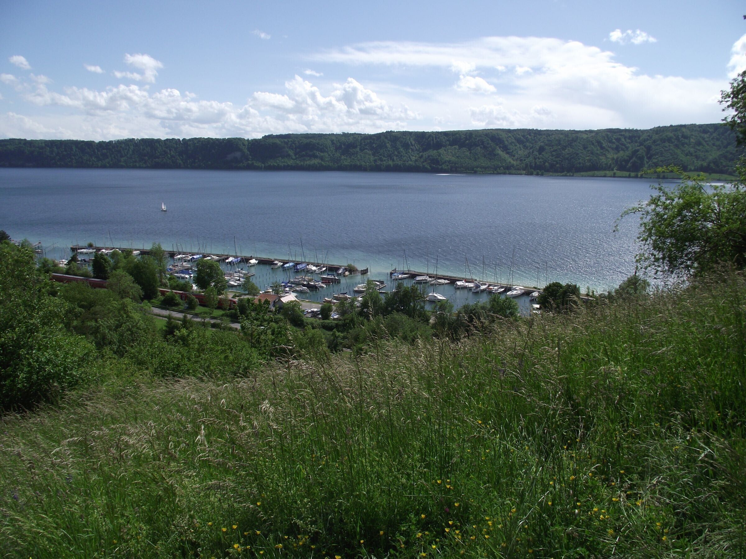 A marina with boats docked, surrounded by greenery and a lake.