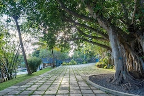 Un sendero pavimentado bordeado de árboles, una piscina y un edificio al fondo.