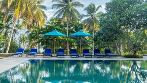 Una piscina con sillas reclinables azules y sombrillas, rodeada de palmeras.