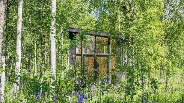 A cabin surrounded by dense forest with tall trees and wildflowers. - Minimalist cabin with forest views in Arvika (Arvika)
