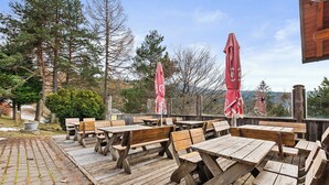 Outdoor wooden tables and benches arranged on a paved deck with a view of trees and mountains in the background.