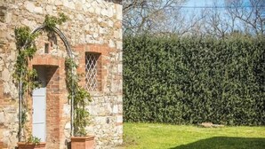 A stone building with a window and a door, surrounded by a well-maintained hedge and a grassy area. - Panoramic guesthouse in the Siena hills (Castelnuovo Berardenga)