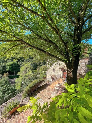 Terras