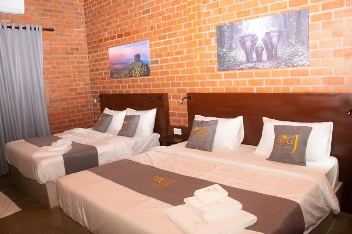 Habitación doble Deluxe, vista al jardín | Espacio para trabajar con laptop y wifi gratis