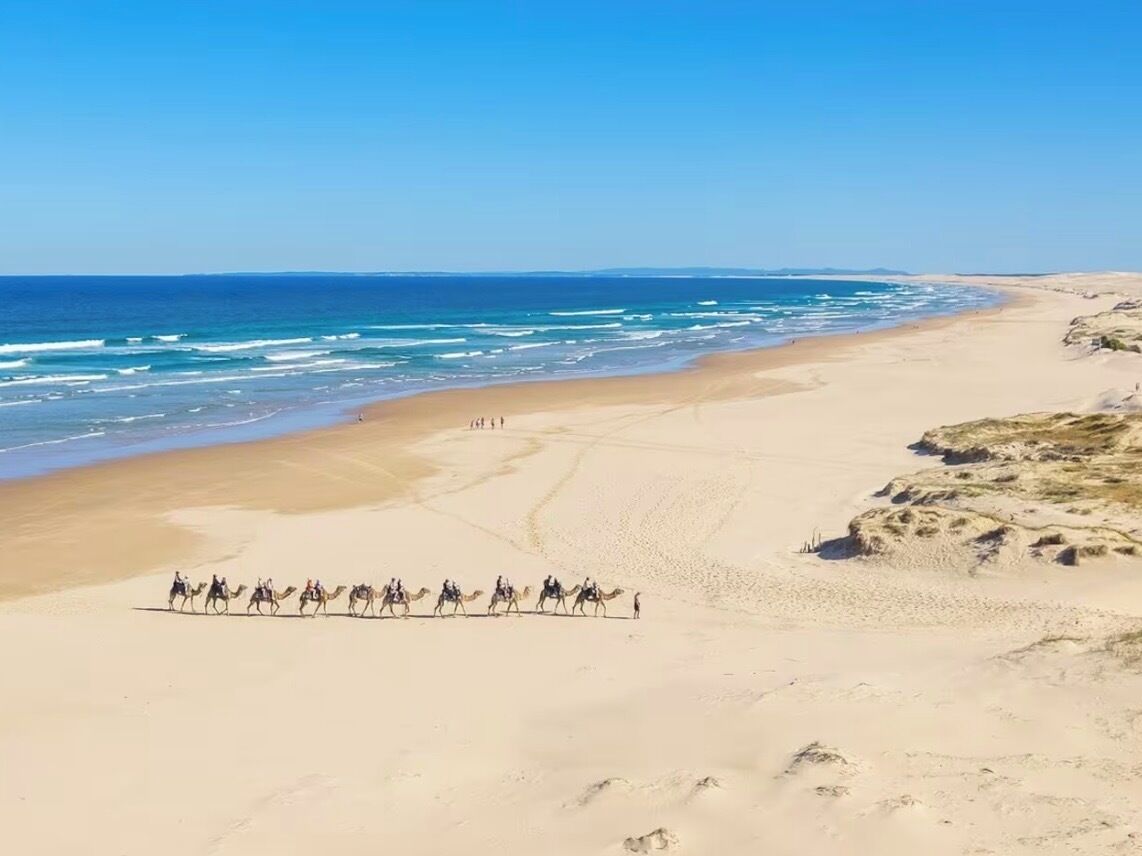 Strand