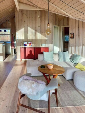 TV, fireplace - Wooden house with south-facing garden near Reersø (Gørlev)