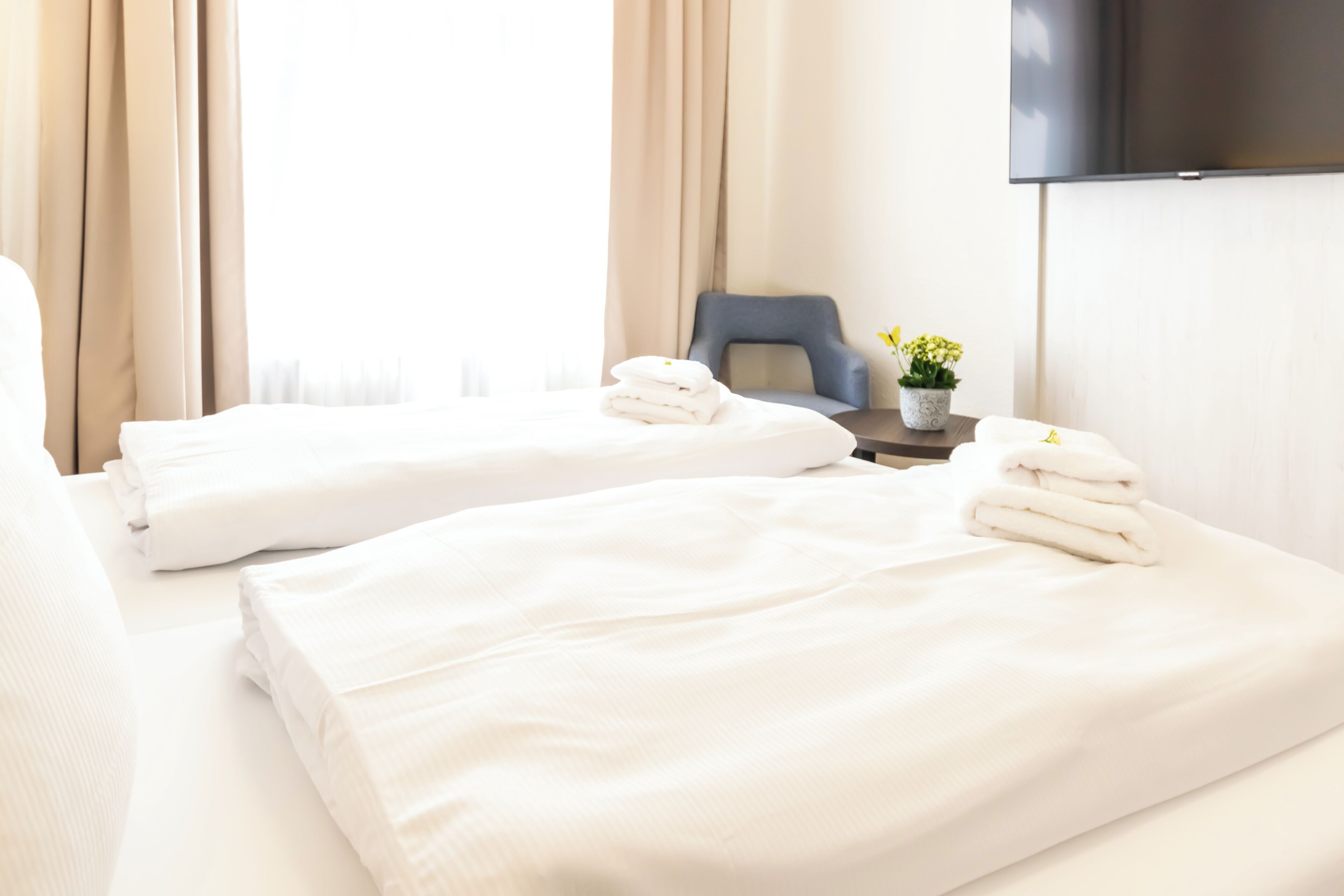 A hotel room with two beds, a flat-screen TV, a small table with a potted plant, and a window with curtains.