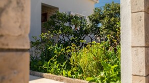Ein Gebäude mit weißer Fassade, einem sichtbaren Fenster und einem Gartenbereich mit verschiedenen Pflanzen.