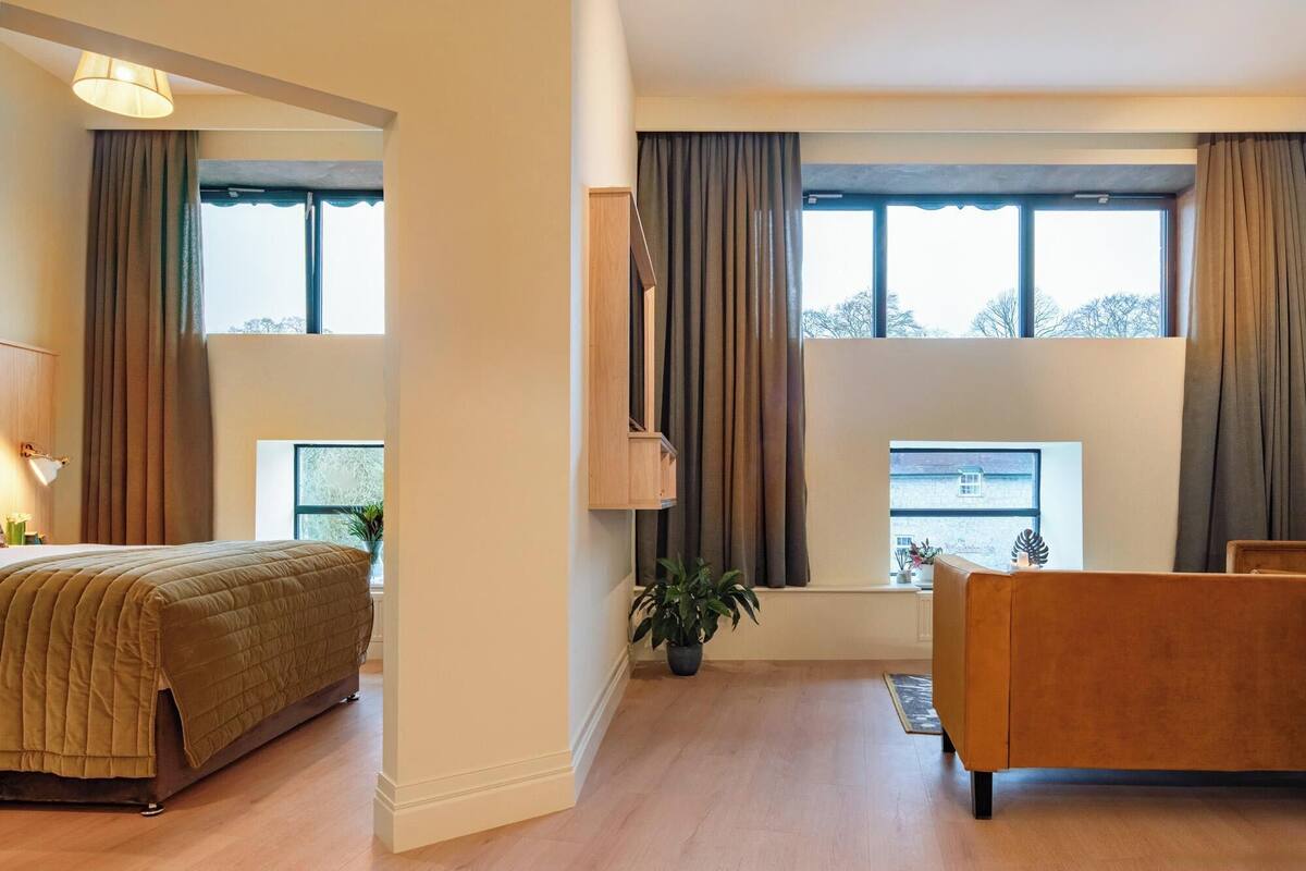 A modern hotel room with a bed, a sofa, a potted plant, and large windows with curtains.
