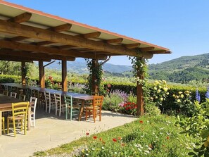 Outdoor dining - Apartment Olivo by Interhome (Pontassieve)