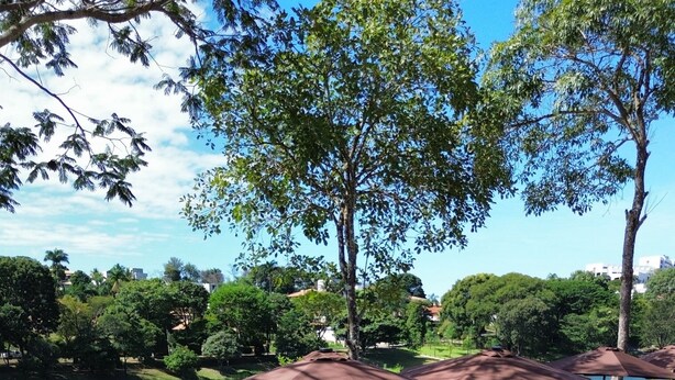 Un área junto a la piscina con terraza de madera, barandilla de vidrio y mobiliario exterior.