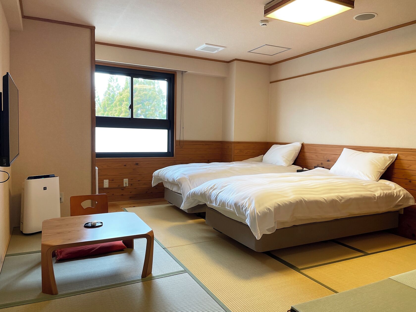A hotel room with two beds, a TV, a heater, and a window with a view of trees.