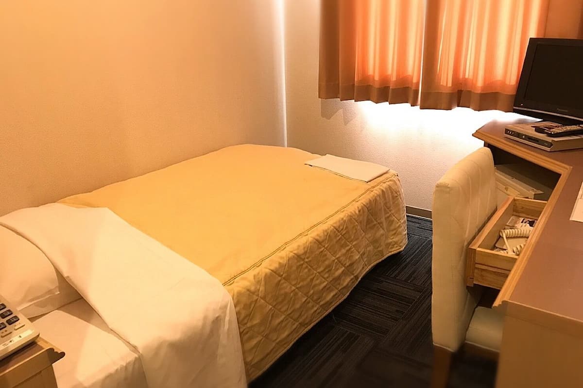 A hotel room with a bed, a desk, a chair, a television, and a telephone.